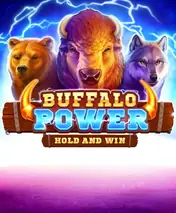 Buffalo Power: Hold and Win by Playson